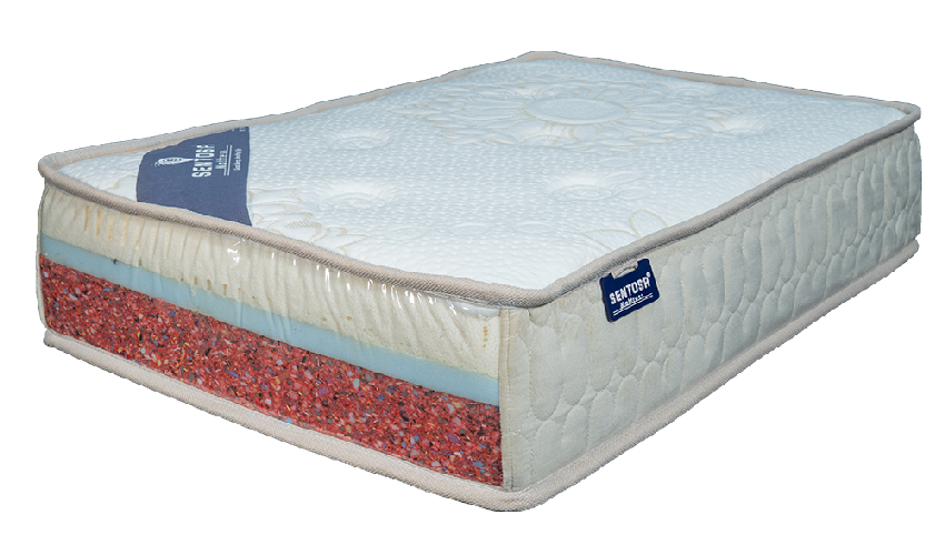 Sentosa Mattress Natural Spine Latex